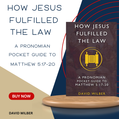 New-David Wilber